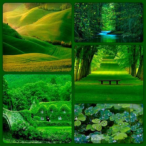 Nature Collage Made By Kadks World Collage Bilderrahmen Collage