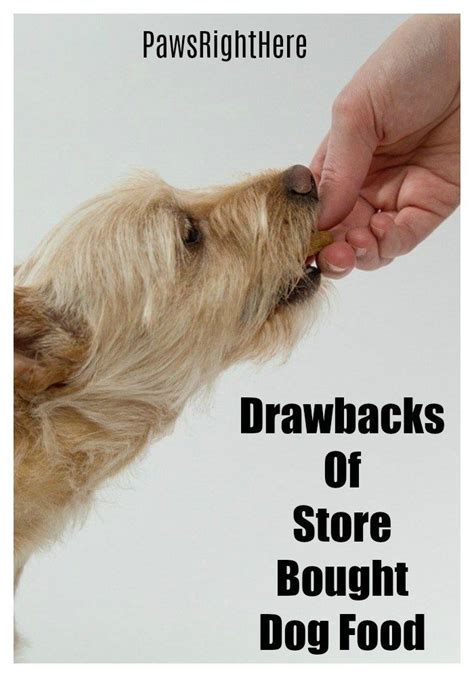 Back to the shopping cart page. Should You Feed Your Dog Commercial Food | Dog food online ...
