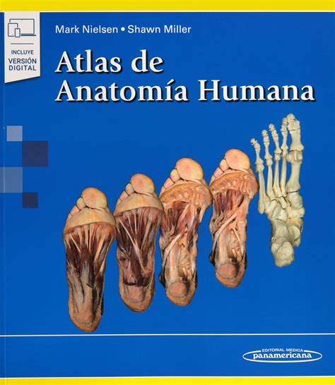 6 Libros De Anatomía Humana ¡esquemas Ilustraciones Y Más Prácticos