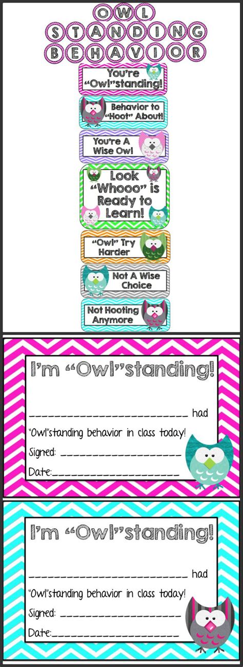 Managing Your Classroom Behavior Has Never Been Such A Hoot This