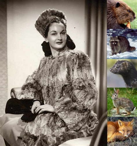How To Identify Vintage Mink Fox Rabbit Beaver And Raccoon Furs
