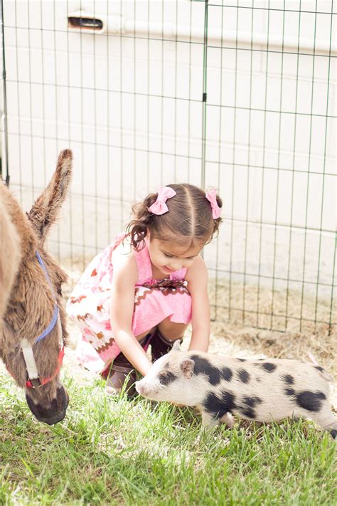 My Big Girl And The Mobile Petting Zoo With A Pig Named Maya Cowgirl