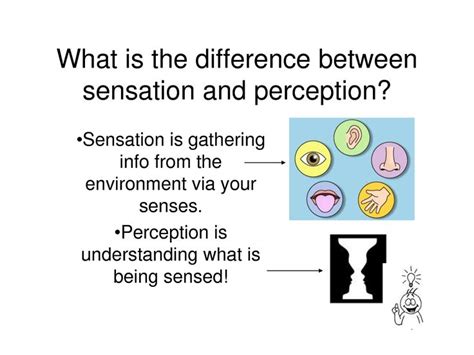 106 Best Images About Psychologysensation And Perception On Pinterest