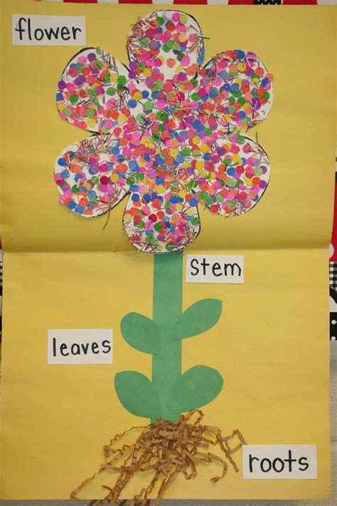 Mrs Lees Kindergarten Plants Preschool Projects Classroom Crafts
