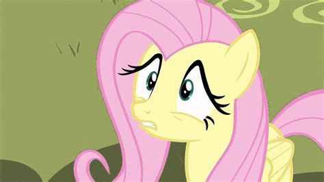 Fluttershy ~ Why Not Youtube