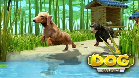 Dog Games Apk For Android Download