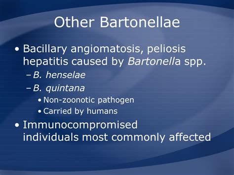 Cat Scratch Disease And Other Bartonella Infections Ppt Video Online