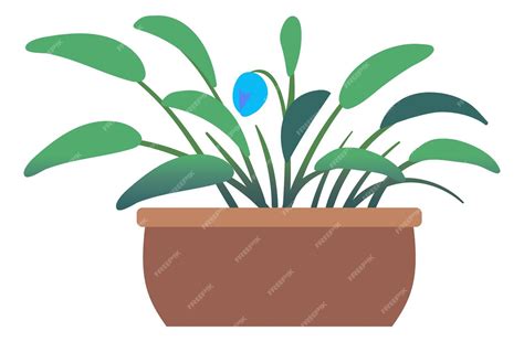 Premium Vector Cute Blue Flower In Pot Green House Plant Isolated On