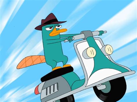 Pictures Of Perry The Platypus From Phineas And Ferb