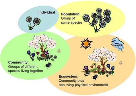 41 Species Communities And Ecosystems