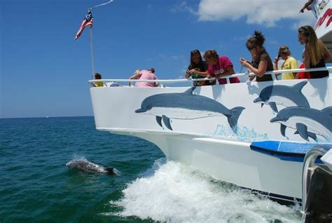 Glass Bottom Boat Dolphin Cruise Picture Of Boogies Watersports