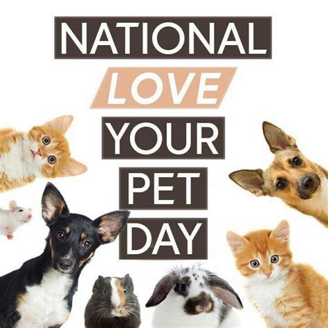 We combine quality ingredients with premium cbd to promote happiness Monday February 20, 2017. National Love Your Pet Day ...
