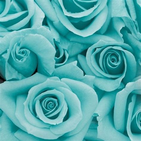 Aesthetic pastel wallpaper aesthetic backgrounds aesthetic wallpapers tumblr wallpaper cool wallpaper wallpaper quotes white wallpaper rainbow wallpaper mood wallpaper homescreen wallpaper pink wallpaper iphone aesthetic pastel wallpaper retro wallpaper flower phone. Moodbored — it's not weak to cry // turquoise aesthetic ...
