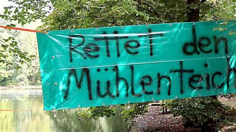 anwohner politik und behörden suchen in verden dauelsen nach lösungen für mühlenteich