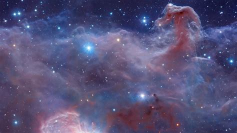 Outer Space Horse Head Nebula Wallpaper 80848