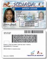Maryland Drivers License Book Photos