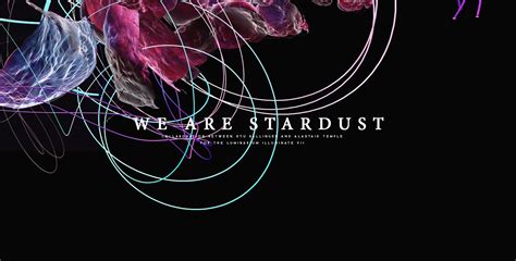We Are Stardust On Behance