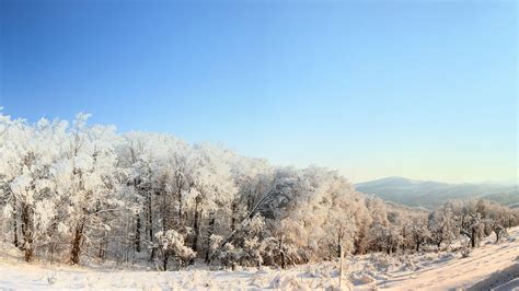 Zima Slike Za Desktop Zimski Pejzazi Slike Priroda Zimi Fotografije
