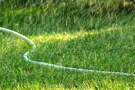 Posted on february 13, 2020april 28, 2021 by lawn doctor. A Comprehensive Guide to Watering Austin, TX Lawns | Wikilawn