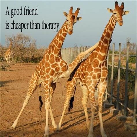 Giraffe famous quotes & sayings: Famous quotes about 'Giraffes' - Sualci Quotes 2019