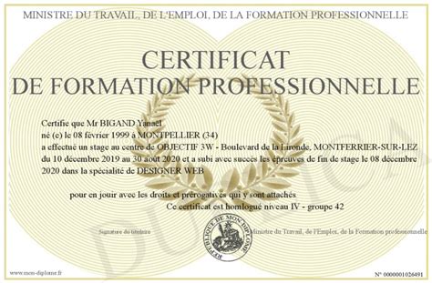Certificat De Formation Professionnelle