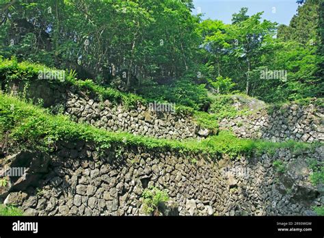 Arafune Fuketsu of Tomioka Silk Mill and Related Industrial Heritage