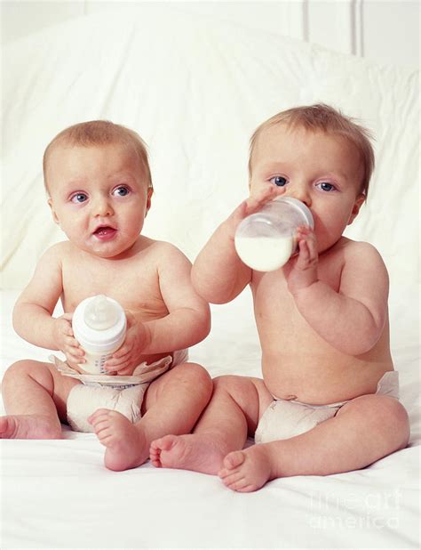 Twins Baby Boys 2 By Paul Whitehillscience Photo Library