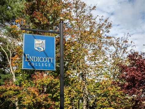 Strong Placement In Best Colleges Rankings Endicott College