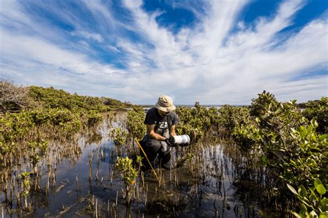 Wetland Sediment Recreational Activities And Environmental And Public