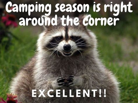 50 Funny Camping Memes That Will Make You Laugh And Inspire You To Go