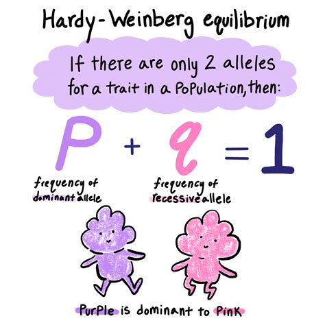 Hardy Weinberg Equation