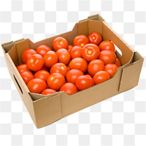 Experienced Supplier Of Strong Tomato Boxpaper Tomato Boxcorrugated