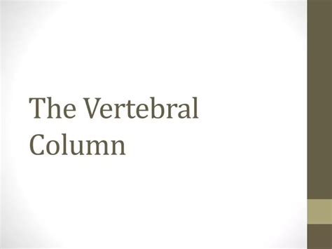 Ppt The Vertebral Column Powerpoint Presentation Free Download Id