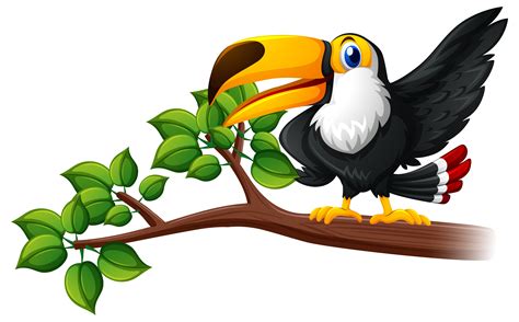 Toucan Bird On The Branch 382265 Vector Art At Vecteezy