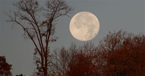 You Cannot Miss Tonights Spectacular Beaver Moon — Heres The Best Way