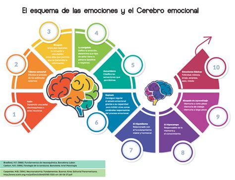 Emociones Cerebro Emocional Psicología Social Studocu