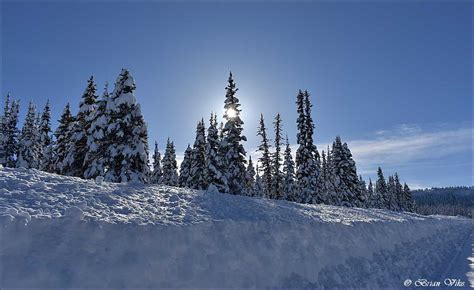 Northern Interior British Columbia Winter 2018 Equity Mine Road