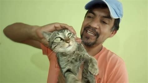 Impactante Hombre Mata A Su Gato Y Se Graba Youtube