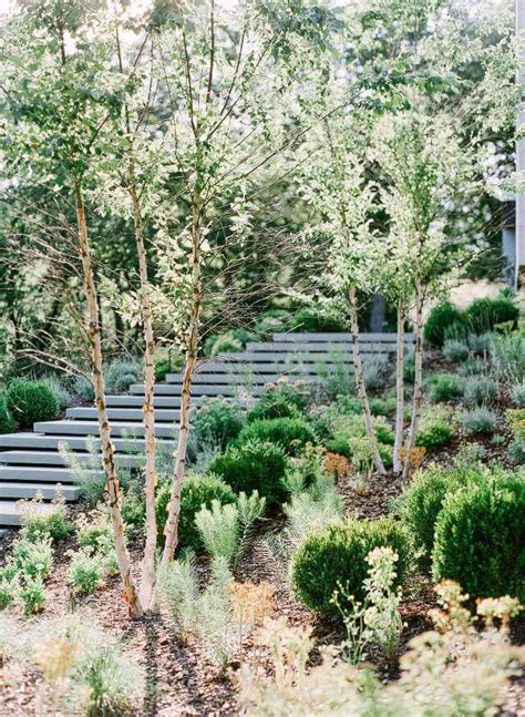 Modern Simplicity In 2020 Landscape Architect Garden Stairs Garden