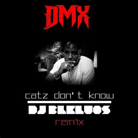 Dmx Catz Dont Know Remix Prodby Dj Blkluos By Dj Blkluos Free