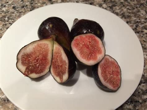 Fresh Figs Season Fresh Figs Fig Season Avocado