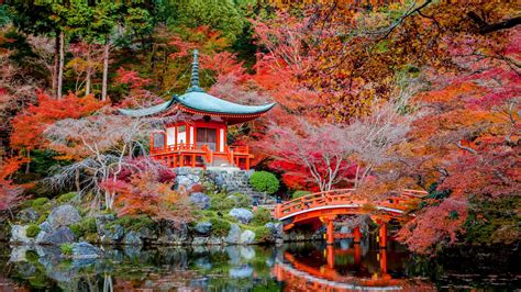 Download 2560x1440 Japanese Shrine Bridge Autumn Fall Stream