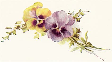 7 Best Images Of Free Printable Vintage Flowers Free Printable