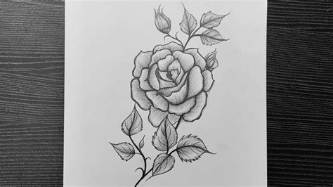 Easy And Beautiful Rose Flower Drawing Realistic Rose Drawing