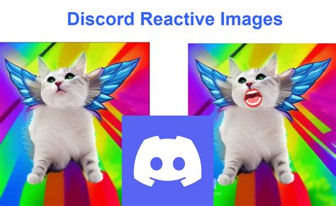 How To Work With Discord Reactive Images As A Beginner 2022 Techpp