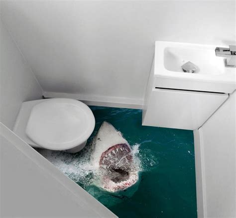 We have 10 images about shark bathroom decor including images, pictures, photos, wallpapers, and more. 33 best Shark Bathroom images on Pinterest | Shark ...
