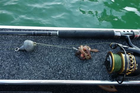 Le temps évolue vers le beau. Pêche du silure au ver : une pêche technique et efficace