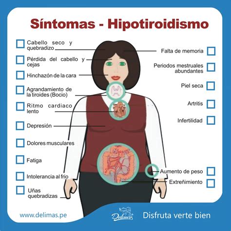 Hipotiroidismo Sintomas Seo Positivo