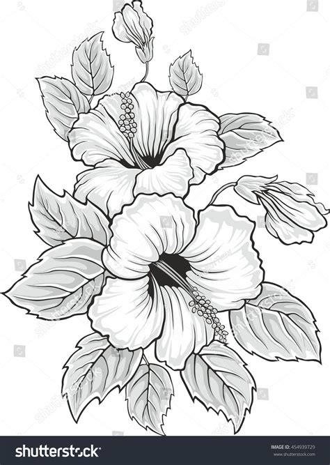 Hibiscus Flower Drawing Hibiscus Flowers Flower Art Drawing Flowers