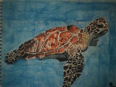 Water Color Pencil Sea Turtle By Eservey26 On Deviantart